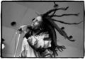 My Bob Marley photo used in legal opinion My Bob Marley photo used in legal opinion